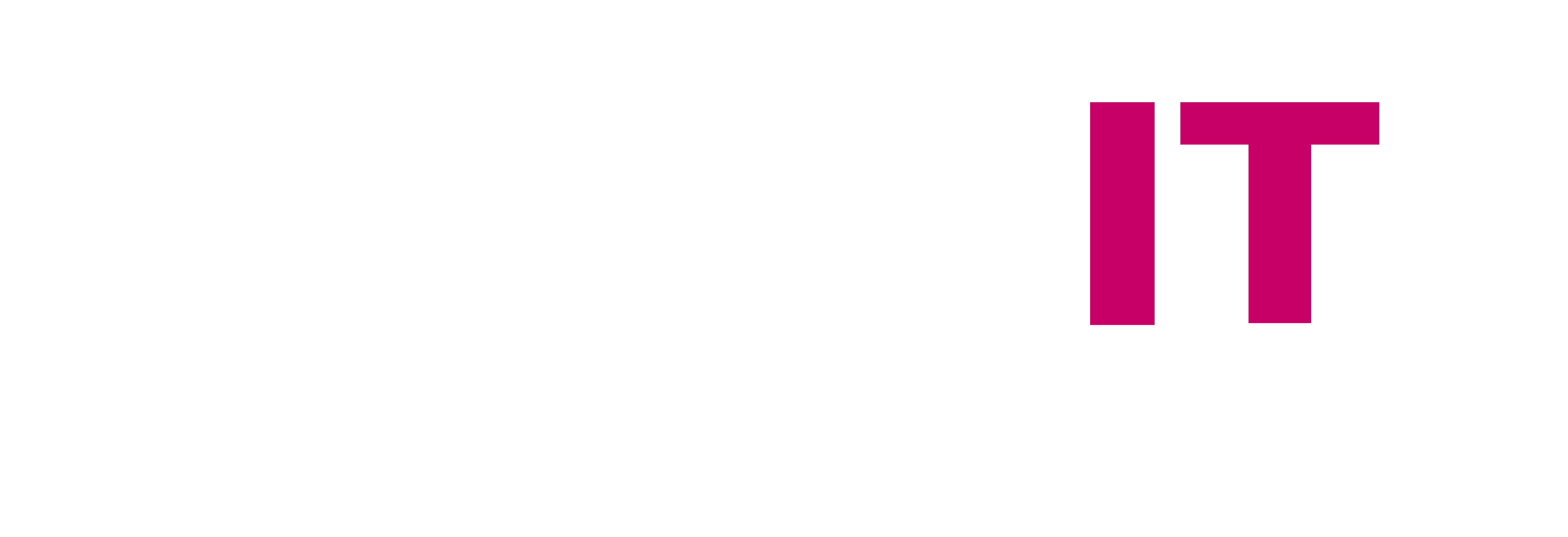 Logo Secure iT